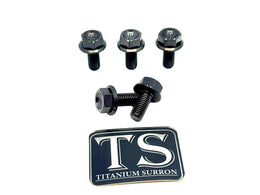 Titanium Sprocket Bolts for E-Ride Pro SS, view 15