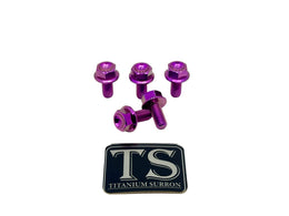 Titanium Sprocket Bolts for E-Ride Pro SS, view 10