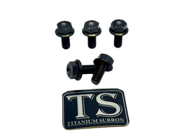 Titanium Sprocket Bolts for E-Ride Pro SS, view 13