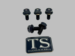 Titanium Sprocket Bolts for E-Ride Pro SS, view 23