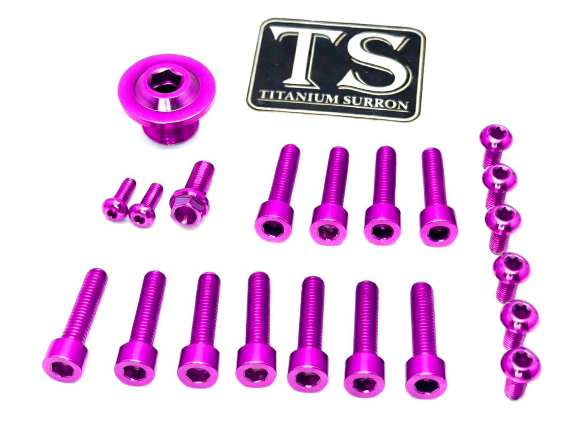 Titanium Surron Ultra Bee OEM Fork Bolt Kit · Titanium Surron, purple