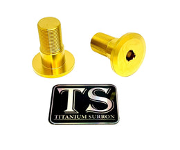 Titanium Talaria Sting Swingarm Bolts (set of two) · Titanium Surron, gold