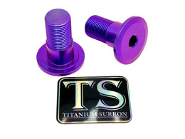 Titanium Talaria Sting Swingarm Bolts (set of two) · Titanium Surron, deep purple