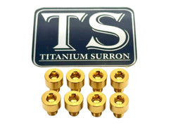 Ventus V9600 Heat Sink Titanium Bolt Kits (8 pcs) · Titanium Surron, gold